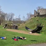 Schaeferkarrenpark Adler- Und Wolfspark Kasselburg Pelm