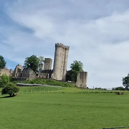 Schaeferkarrenpark Adler- Und Wolfspark Kasselburg * Pelm