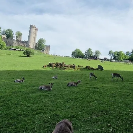 Schaeferkarrenpark Adler- Und Wolfspark Kasselburg مكان تخييم *
