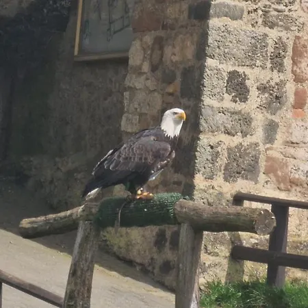مكان تخييم Schaeferkarrenpark Adler- Und Wolfspark Kasselburg *