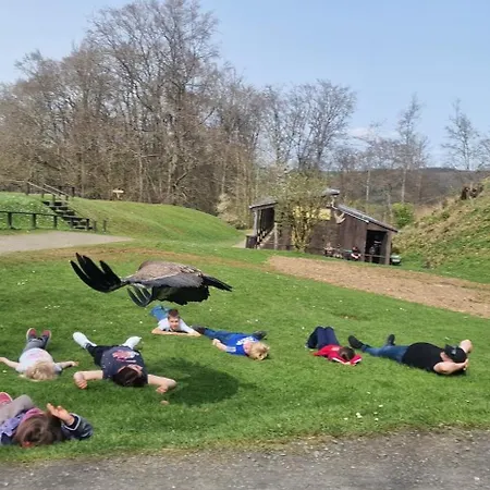 Schaeferkarrenpark Adler- Und Wolfspark Kasselburg Camping Pelm