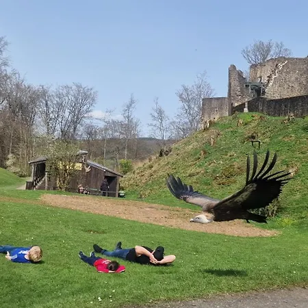 Schaeferkarrenpark Adler- Und Wolfspark Kasselburg Pelm