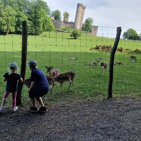 مكان تخييم Schaeferkarrenpark Adler- Und Wolfspark Kasselburg