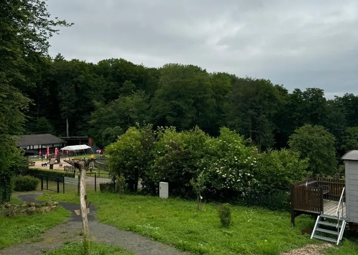 אתר קמפינג Schaeferkarrenpark Adler- Und Wolfspark Kasselburg *