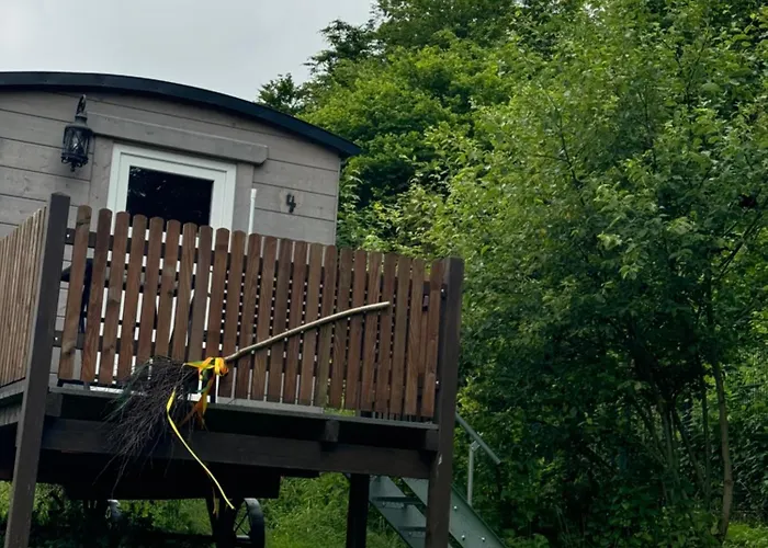 キャンプ場 Schaeferkarrenpark Adler- Und Wolfspark Kasselburg