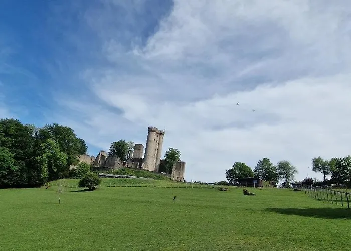 Schaeferkarrenpark Adler- Und Wolfspark Kasselburg * Pelm