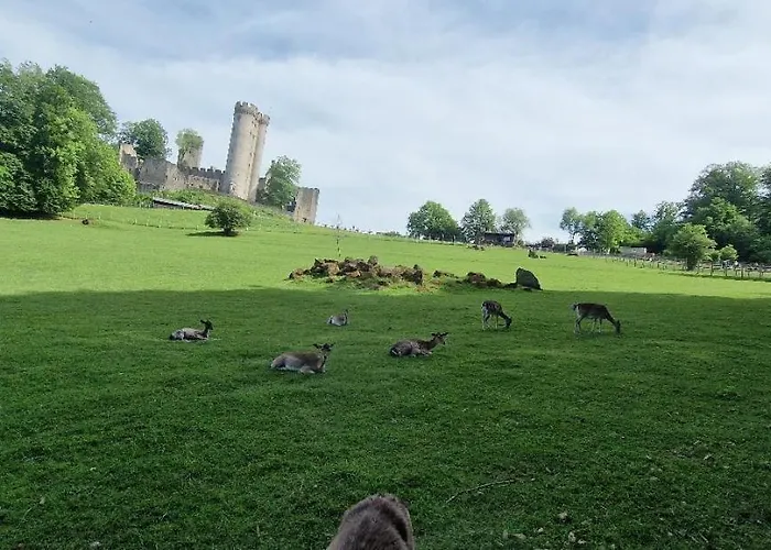 Schaeferkarrenpark Adler- Und Wolfspark Kasselburg キャンプ場 *