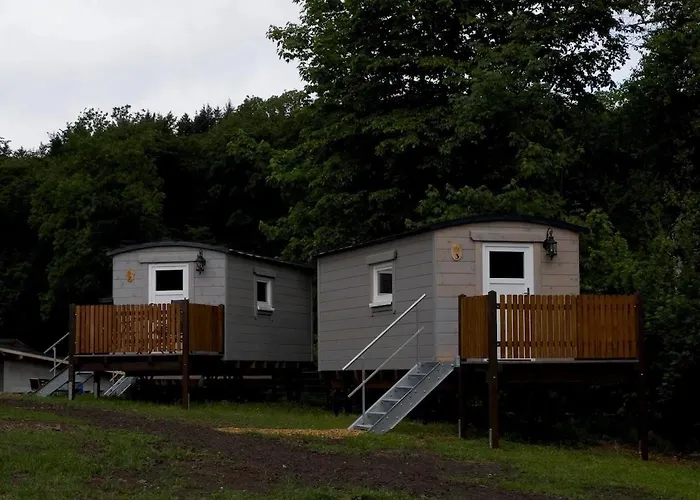 Schaeferkarrenpark Adler- Und Wolfspark Kasselburg * Pelm