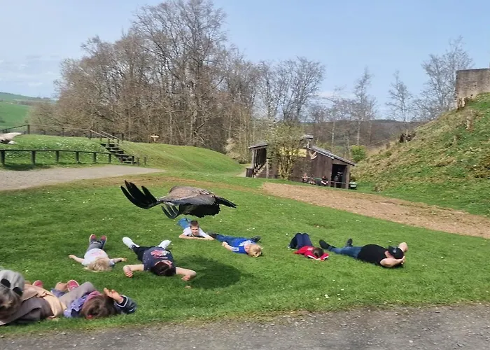 Schaeferkarrenpark Adler- Und Wolfspark Kasselburg キャンプ場 Pelm