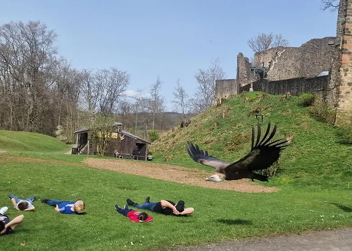 Schaeferkarrenpark Adler- Und Wolfspark Kasselburg Pelm