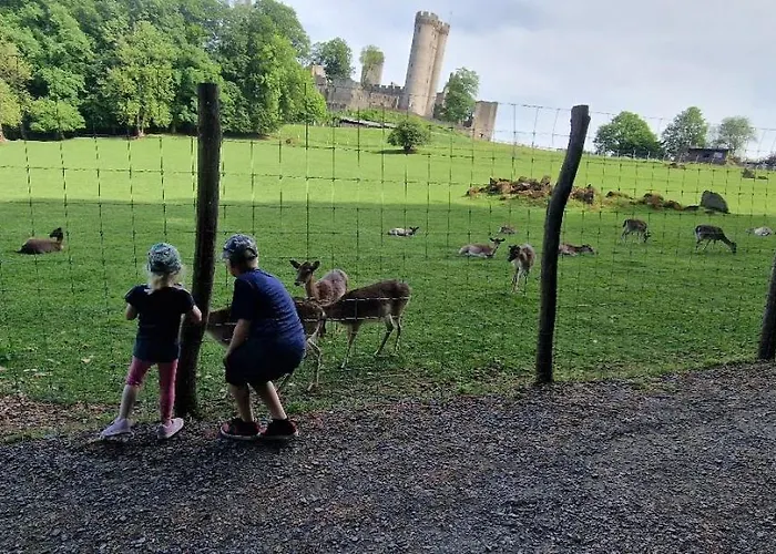 キャンプ場 Schaeferkarrenpark Adler- Und Wolfspark Kasselburg